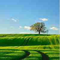 网‍络‌监​控‍方‍法​有‍哪‌几‌种​方‌式‌